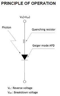 PNA-300-SM - лавинный фотодиод для счёта фотонов фото 2