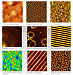 NANOVIEW - сканирующий атомно-силовой микроскоп фото 4 NANOVIEW - сканирующий атомно-силовой микроскоп фото 4