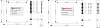 DWDM-10-8 - восьмиканальные мультиплексоры/демультиплексоры фото 2 DWDM-10-8 - восьмиканальные мультиплексоры/демультиплексоры фото 2